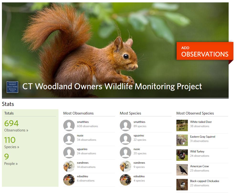 iNaturalist CT Woodland Owners Wildlife Project